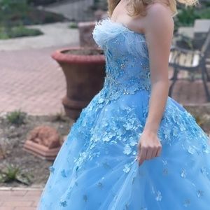 Quinceanera dress
